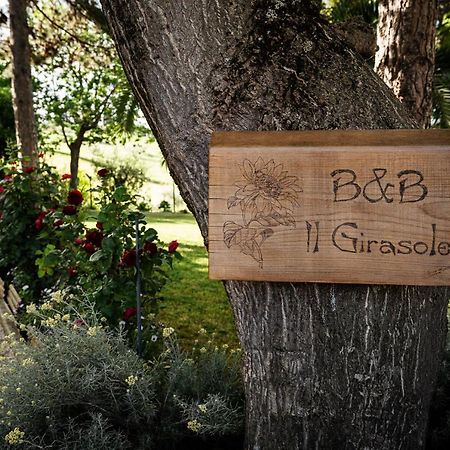 Il Girasole Bed and Breakfast Basciano Buitenkant foto