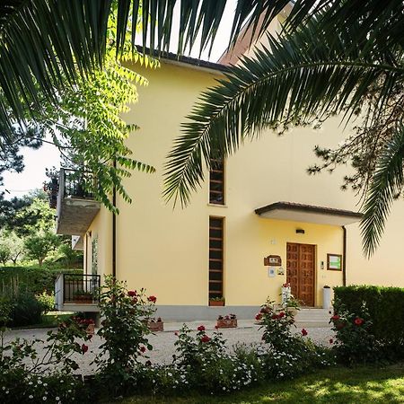 Il Girasole Bed and Breakfast Basciano Buitenkant foto