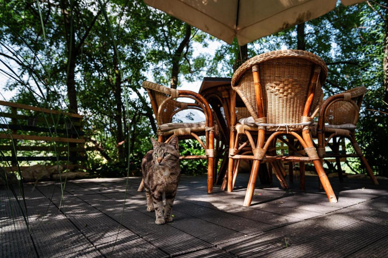 Il Girasole Bed and Breakfast Basciano Buitenkant foto