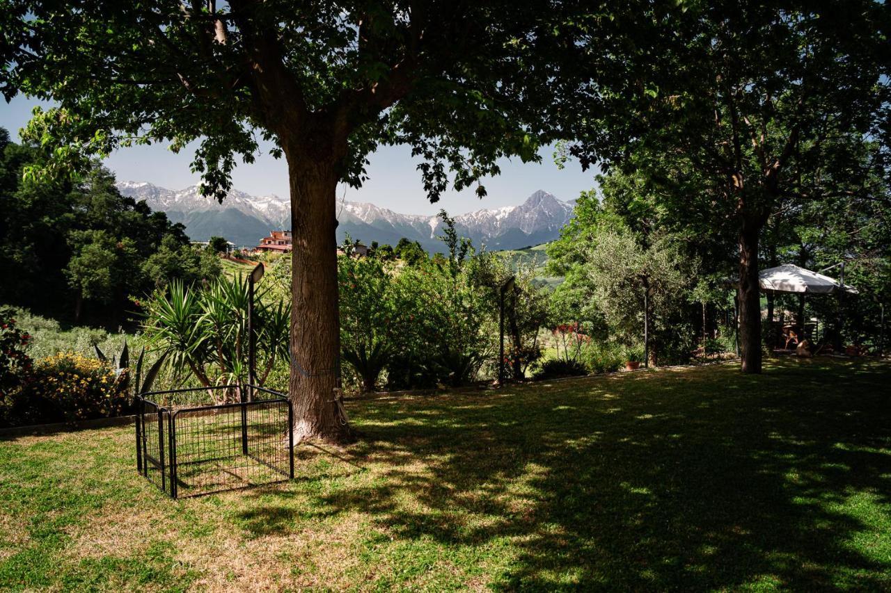 Il Girasole Bed and Breakfast Basciano Buitenkant foto