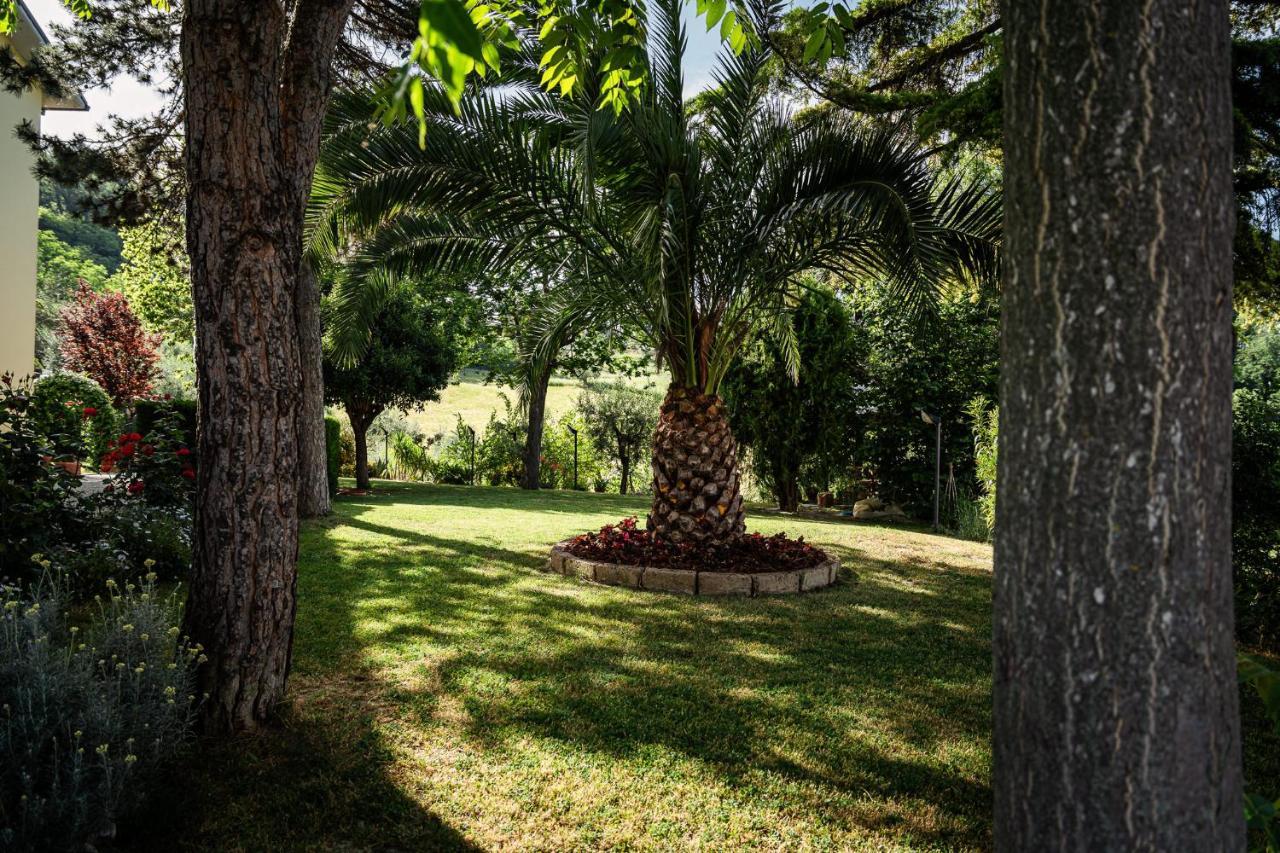Il Girasole Bed and Breakfast Basciano Buitenkant foto