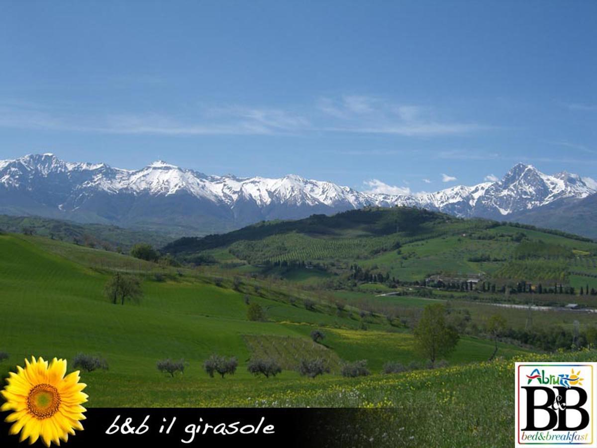 Il Girasole Bed and Breakfast Basciano Buitenkant foto