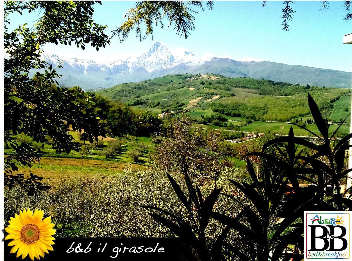 Il Girasole Bed and Breakfast Basciano Buitenkant foto